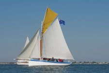 regate 2009 08