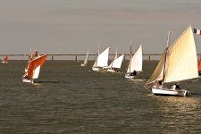regate 2010 05