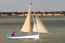 regate 2010 08