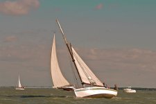 regate 2010 10