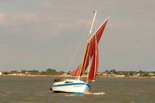 regate 2010 15