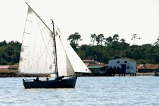 regate 2011 02