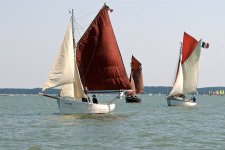 regate 2011 06