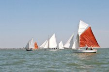 regate 2011 07