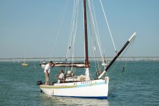 regate 2011 11
