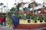 mimosa 2009 04