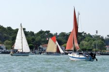 regate 2011 27