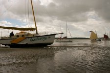 regate 2012 23