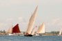regate 2012 29